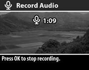 Recording and deleting audio clips NOTE This option works only with still images, not video clips. After taking a still picture, you can go back later and add an audio clip to it.