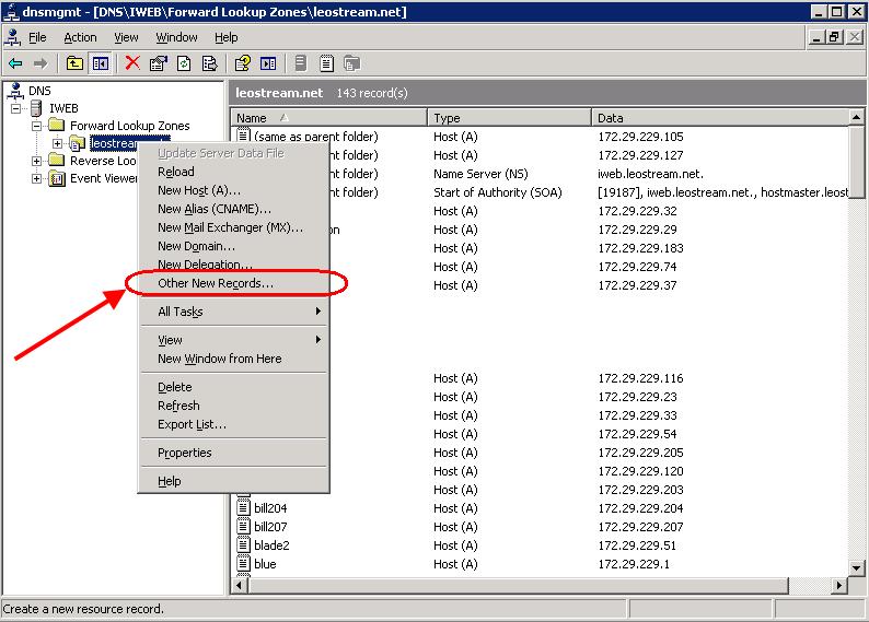3. In the Resource Record Type dialog that appears, click on Service Location, as shown in the following figure.