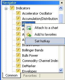 Note: The CTRL + G hot key is already assigned by MetaTrader to hide/show grids.