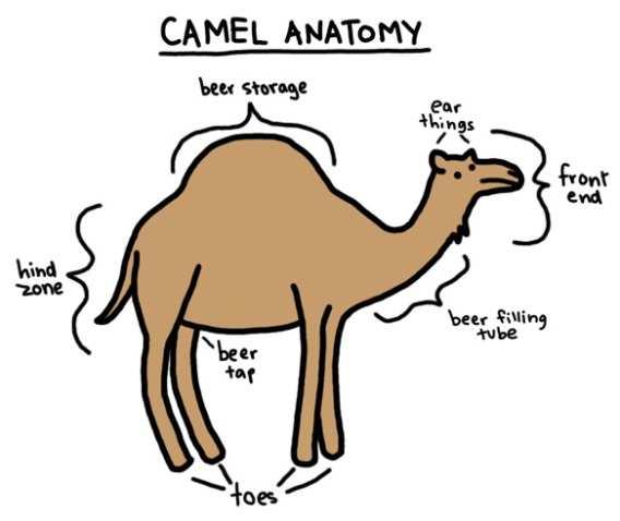 Apache Camel- Concepts CamelContext(collection of Components) Components provide an Endpoint interface A Component is essentially a factory of Endpoint instances only 12 essential components.