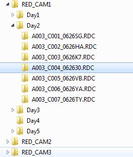 Setting a Structure for your File-based Media For the source media, you can structure and name the parent folders as you see fit (e.g. REDCAM1, REDCAM2, Day 1, Day 2) but it is important that the actual card structures from the camera remain as they were shot.