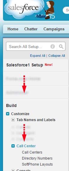 Using Salesforce 2.