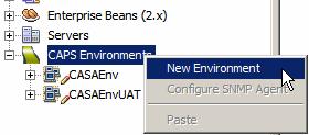 8. Create Java CAPS Environment Create a Java CAPS Environment, WSEnv, as illustrated in Figures