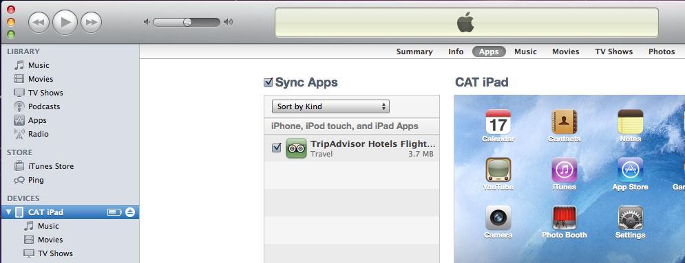 Step 5 After the download is finished, click on your ipad in the sidebar, then Apps