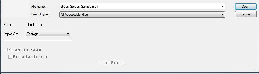 Double-click on the Project Panel and the import file window will appear. 3B. IMPORT WINDOW Once you have used one of the possible import options, an import file window will appear.