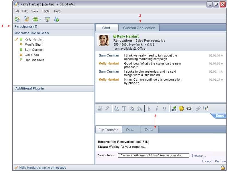 Figure 3 illustrates additional extension areas of the chat window. The guidelines refer to some of these areas.