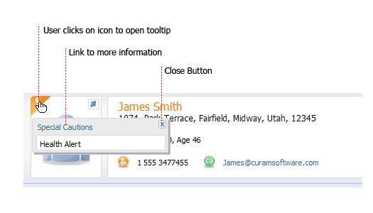 Figure 3.12 Context panel with Special Caution Popup In certain context panels multiple photo panels are displayed together.