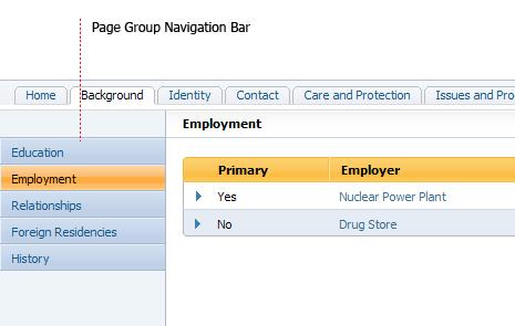 Figure 3.27 Page Group Navigation Bar Items within the page group navigation bar should be ordered by priority. The items that the user most commonly accesses are placed towards the top.