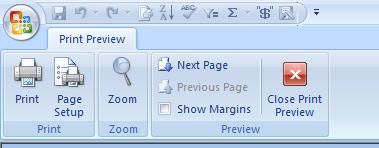 FROM PAGE SETUP TO PRINT PREVIEW TAB To view additional pages click on the Next Page command button. To print, click the Print command button.