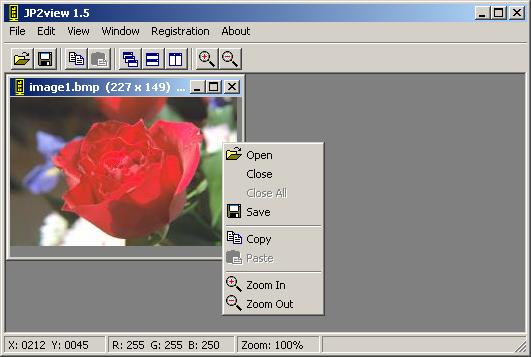 4 Sample program OptimiData JPEG2000 C-SDK