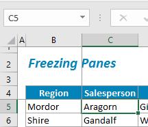 3. A solid line will now appear indicating which rows/columns are frozen.