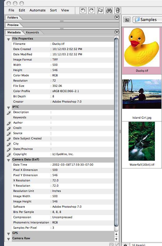 Entered Metadata on Individual File Through Photoshop File Browser, file