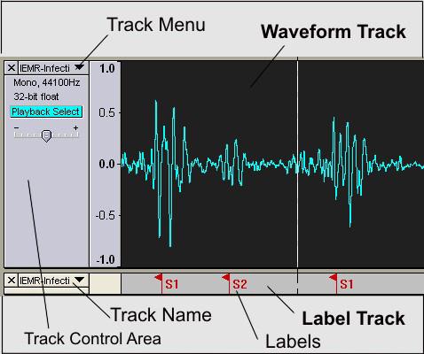 Tracks Audi Track Label Track Track Layut Tracks shw the actual sund wavefrms r spectrgrams.