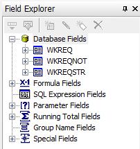 c. Open the WKREQ table (click on the + sign). d. Click and drag the RQ_CAT_TY field and place it in the Detail section under the Category column heading.