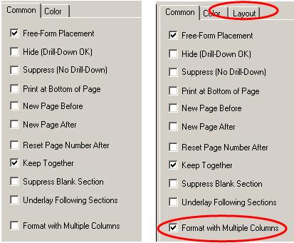 When a Section is clicked on and highlighted, the checked options show what has been set up for this section. Some options that have been chosen elsewhere, such as Suppress, are reflected here.