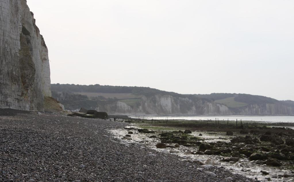 Context In Normandy, France, coastal cliffs are mainly