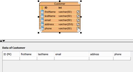 Now you will see the Table Record Editor showing the columns of the Customer entity.