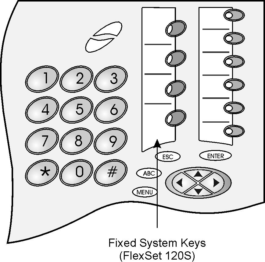 Using the System Defined Fixed Keys Four FlexSet buttons are programmed during installation, and are the same for each keyset system-wide.