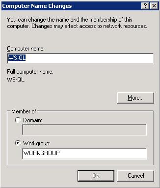 You may also enter a domain or workgroup. Click [OK].