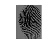 nk: number of the pixels. that gives accurate information of fingerprint image. Typically, an object pixel is given a value of 1 while a background pixel is given a value of 0.