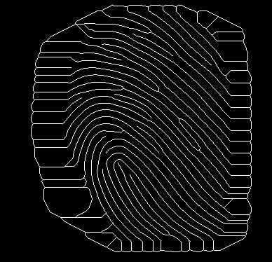So the process is to multiply the Fourier transform of the block by its magnitude a set of times. Figure: Fingerprint Image Binarization 4. MINUTIAE EXTRACTION OF FINGERPRINT IMAGE: 4.