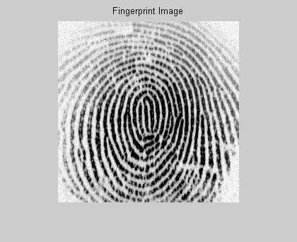 10 13.1 0.02 Table2 FAR and FRR of rotated fingerprint image for different value of Threshold Threshold Value FAR(in %) FRR(in %) 6 6.3 0.12 7 7.6 0.08 8 10.1 0.07 9 12.1 0.03 10 13.9 0.03 Fig.