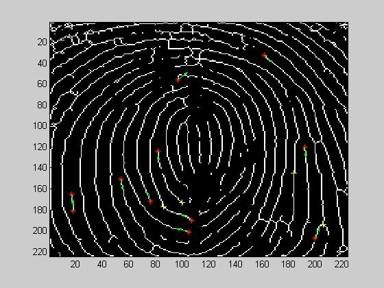 re 5 display the original fingerprint image while figure 6 display the extracted minutia points of the fingerprint image. Fig.