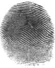 Proceedings of the World Congress on Engineering nd Computer Science 204 Vol I WCECS 204, 22-24 Octoer, 204, Sn Frncisco, USA The dtse contins enchmrk fingerprints jointly produced y The Biometric
