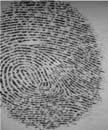 is the rte of occurrence of scenrio of two fingerprints from sme finger filing to mtch (the mtching score flling elow the threshold) while is the rte of occurrence of scenrio of two fingerprints from