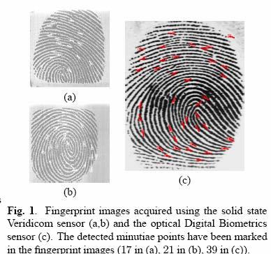 NEED FOR THE HYBRID APPROACH SSolid state sensors have small sensing area, so sense only a portion of the total fingerprint.