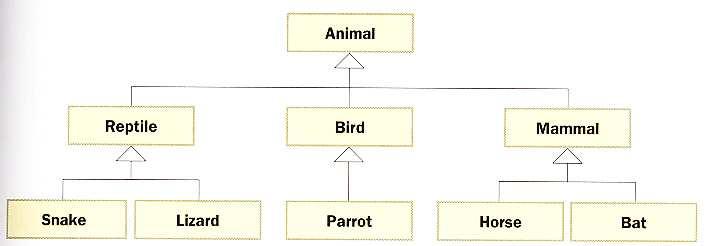 Animals Class Hierarchy Animals Class Hierarchy [http://www.