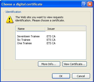 4.2 ETS Access Granted You should now be able to access the ETS Training Environment located at: http://etstraining.aeso.