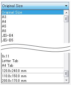 [Paper Size] and [Feed Direction] are automatically changed to the setting values for the selected paper profile. You can specify the paper size.