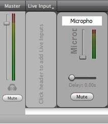 audio output of your broadcast. Click the headphones icon (directly below the Master controls) to mute the local audio feed. (This has no effect on the broadcast audio output.