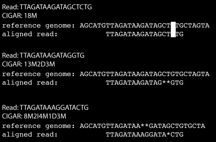 Single-end semi-global alignment Sam file CIGAR STRING (COL 6) The CIGAR string ( col 6 ) only specifies the alignment between the read and the reference genome.