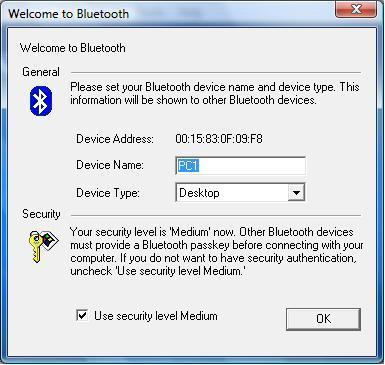After the completion of the driver installation, the Welcome to Bluetooth screen will