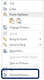 The first few pages of PowerPoint Accessibility are specific for PowerPoint only.