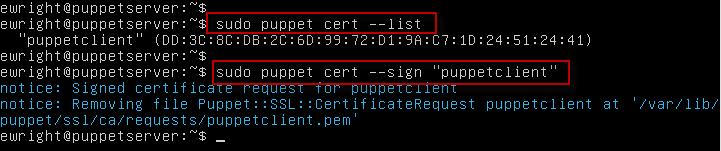 Restart the puppet agent sudo service puppet restart Now are client is fully configured.