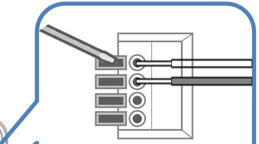 Note: The Momentum Garage Door Controller (GDC) is capable of being connected to two garage door openers.