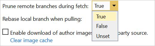 2. Go to Global Settings and set Prune remote branches during fetch to True (recommended). Select Update to save. Rebase local branch when pulling (pull.