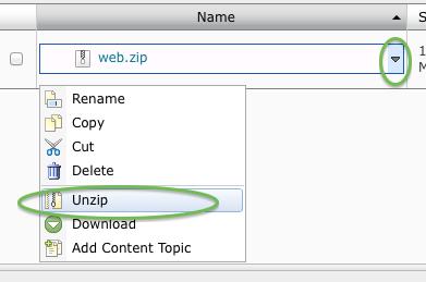 From here, you can drag and drop your ZIPPED file into the box or click upload and find it that way.