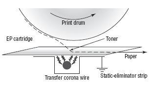 Transferring: Transfer corona wire charges paper.