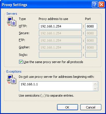 By performing these settings, your PC will connect to a proxy server only when connecting to the Internet.