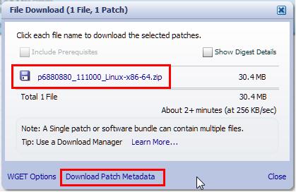 Download the patch for the version 11.1.0.0.0 series only. Figure 2 25 Patch Search Results f.