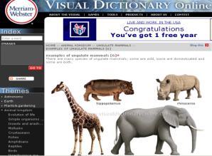 visual dictionaries Merriam Webster Visual Dictionary Online The Visual Dictionary Online Serves as education role Manually