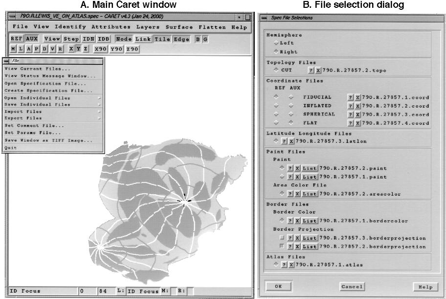 452 VAN ESSEN ET AL., Cortical Surface-based Analysis Software Figure 6 A, The main Caret screen, showing a cortical flat map from the macaque surface-based atlas.