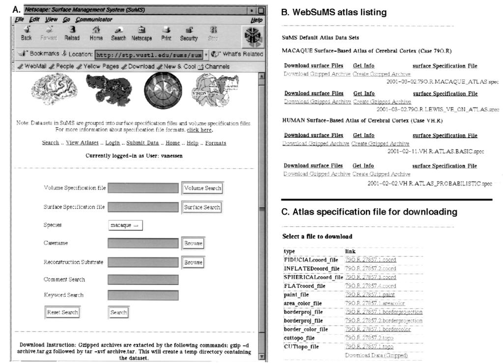 456 VAN ESSEN ET AL., Cortical Surface-based Analysis Software Figure 8 Screen displays using WebSuMS to access the SuMS database. A, The WebSuMS search page (http://stp. wustl.edu/sums/sums.