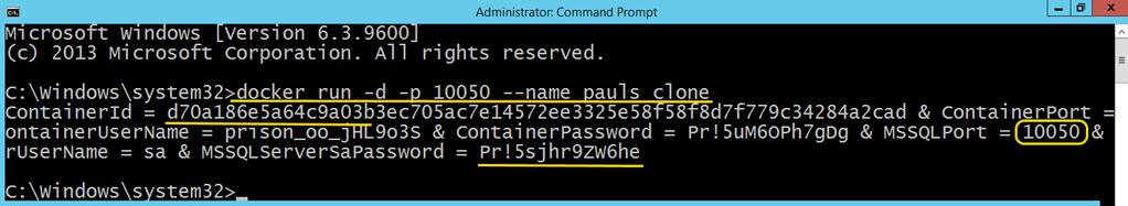 The container is accessible via SQL Management Studio and other tools, for remote access use the SQL sa credentials, or credentials for user logins setup in the default instance.