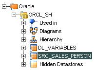 Drag and drop the SRC_SALES_PERSON table to the Sources section of the Diagram as shown below.