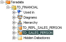 Drag and drop the SRC_SALES_PERSON Flat file to the Sources section of the Diagram as shown below.